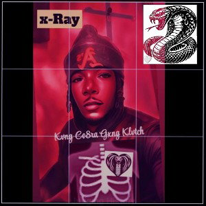 Xray these niggas 