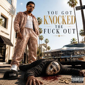 You Got Knocked The Fuck Out 