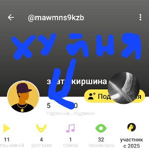 ДИСС НА КИРШИНУ ЗЛАТУ