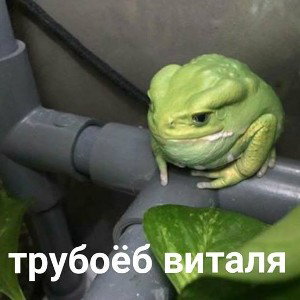 ДИСС НА @_BXCwsJsE
