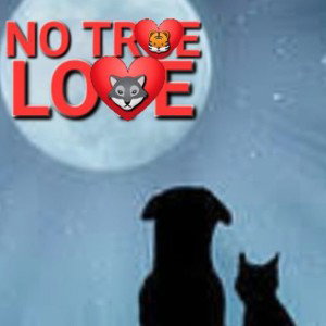 NO TRUE LOVE