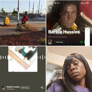 Tyshay Mccoy aka Barbie Hussle  Birth to fame