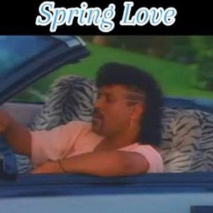 SPRING LOVE REMIX REMAKE BY SKELIT ORIGINAL BY STEVIE B 