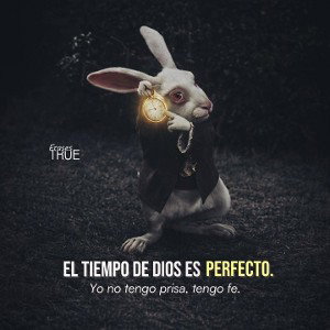Solo Tu