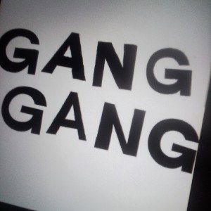 gang gang (feat ace loaded and Chelsea flame)