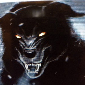 wolves 