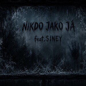 Nikdo jako já feat.Siney