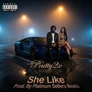 She Like Prod. By Platinum Sellers Beats