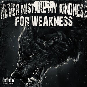 never mistake my kindness for weakness