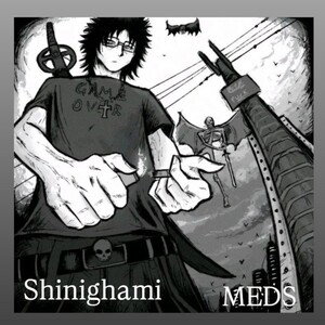 MEDS - fallen (album version)