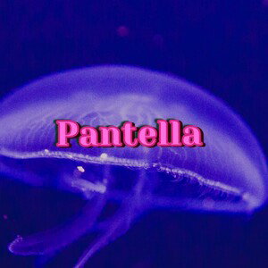 Adrian-PANTELLA 