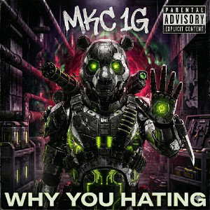 why you hating