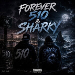 Want to know ft 510_seb