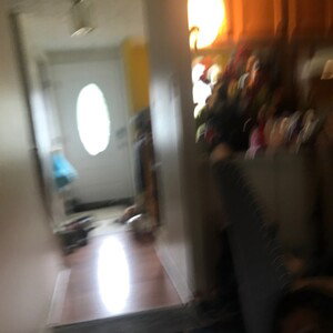 fast mode