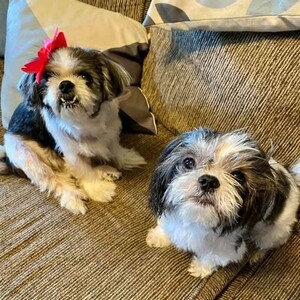 ROSCO AND MAGGIE...