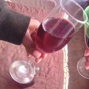 alcohol 