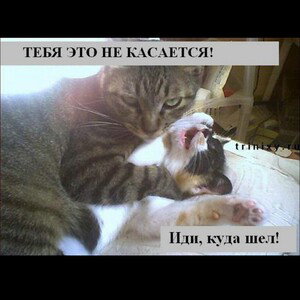 Ты давно не ты