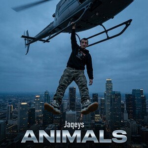 Animals