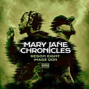 Mary Jane Chronicles 