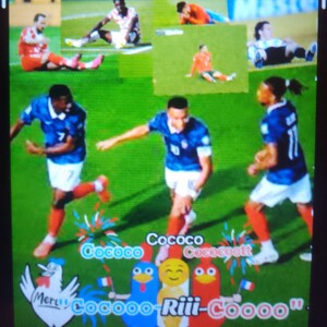 🇫🇷🏆🐓" Cocooo-Ricoooo"