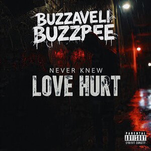 NEVER KNEW LOVE HURT 💔
