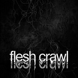 flesh crawl (Slowed + Reverb)
