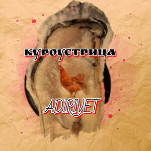 куроустрица 