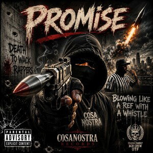 promise 
