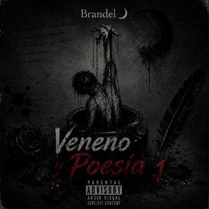 Brandel 🌙- Veneno y Poesía (audio_official)