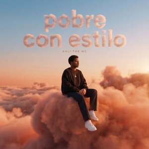 pobre con estilo 