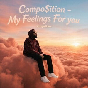 Compo$ition - My Feelings For you