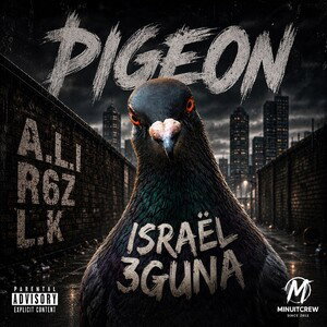 PIGEON ⚜️ R6Z L.K A.L.I 