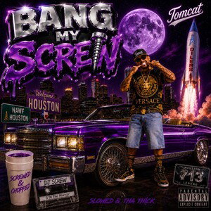 Bang My Screw (online-audio-co (00:48:16)