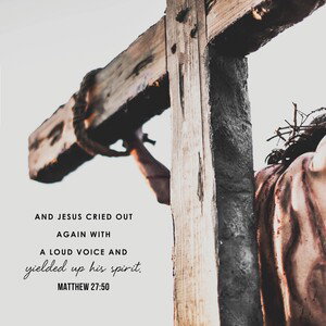 JESUSPAIDTHATPRICE