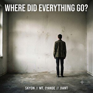 WHERE DID EVERYTHING GO?