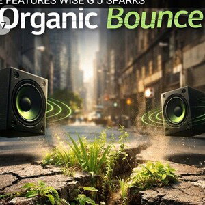 DA BOUNCE REVISION 