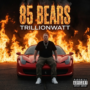 85 bears 