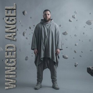 winged angel￼