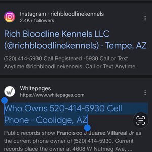 Rich Bloodline Kennels LLC 