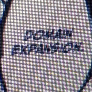 domain expansion