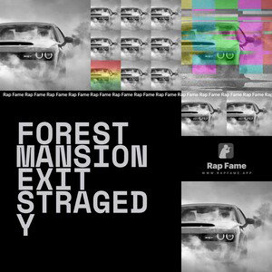 FOREST MANSION EXIT STRAGEDY