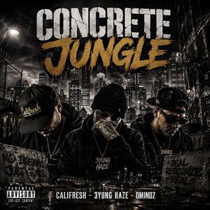 Concrete Jungle