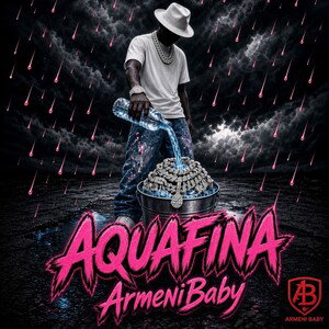 AQUAFINA - ArmeniBaby 