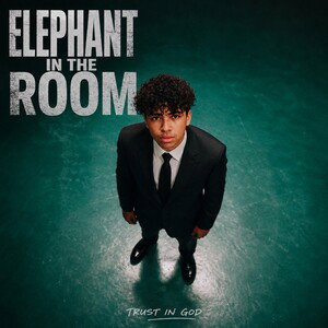 Elephant in the room