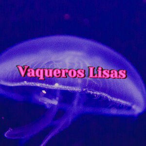 Adrian-VAQUEROS LISAS|Publicando lo Que después de Bonito