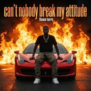 can't nobody break my attitude