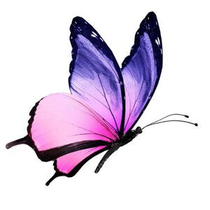 Butterfly 💜