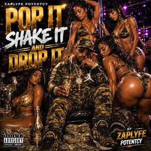 pop it, shake it and drop it