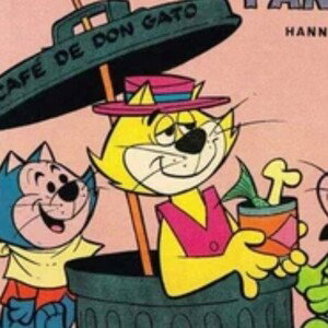 don gato