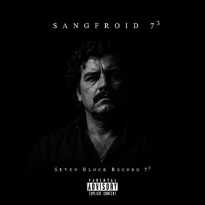 Sangfroid 7³ - En silence 